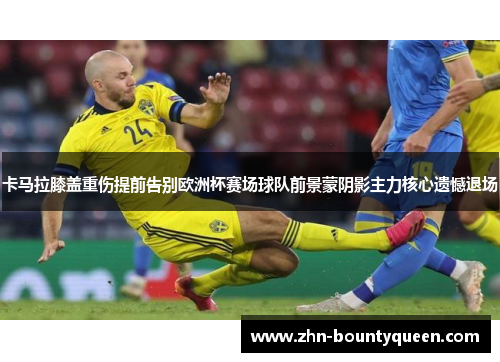 卡马拉膝盖重伤提前告别欧洲杯赛场球队前景蒙阴影主力核心遗憾退场